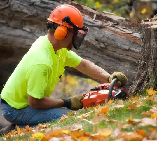 tree services Ocean Acres